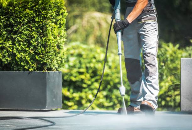 Best Animal Enclosure Cleaning  in Ingram, TX