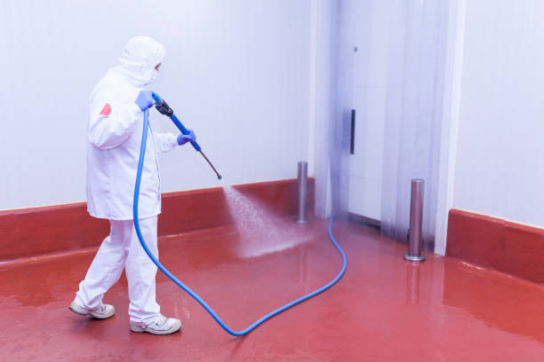 Best Graffiti Removal  in Ingram, TX